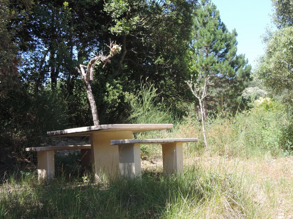 Hotel Les Deux Lions Alairac Zewnętrze zdjęcie
